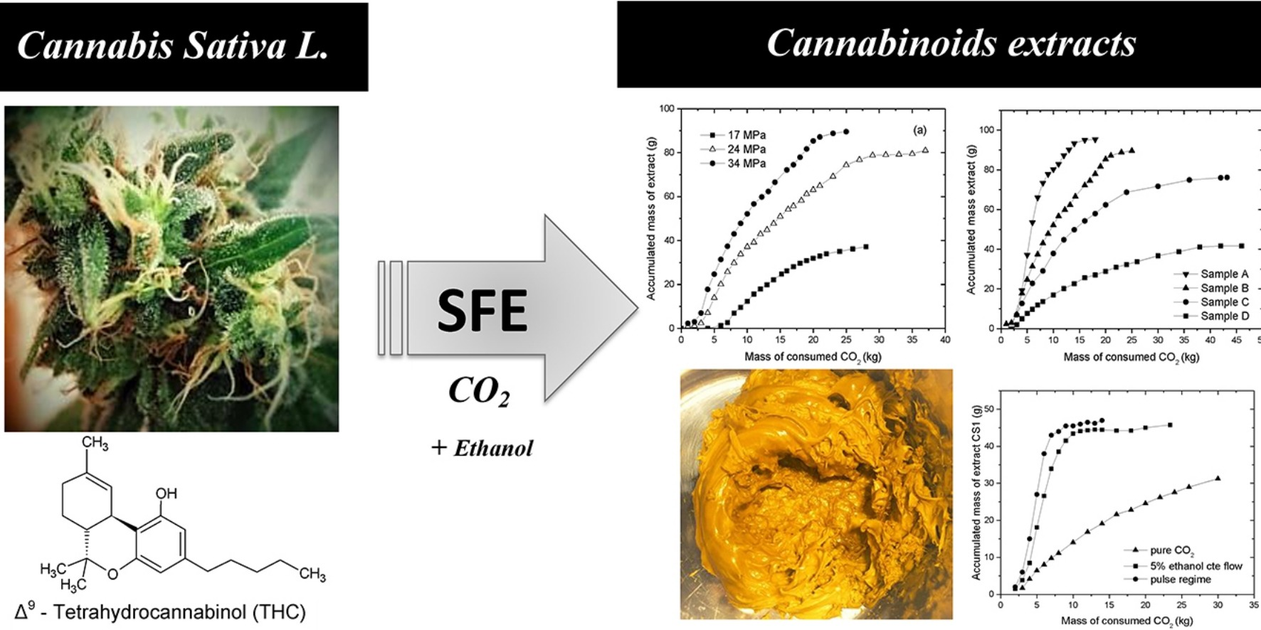 Carbon Dioxide (CO2) Extraction – Hemp Extraction | CBD Extraction ...